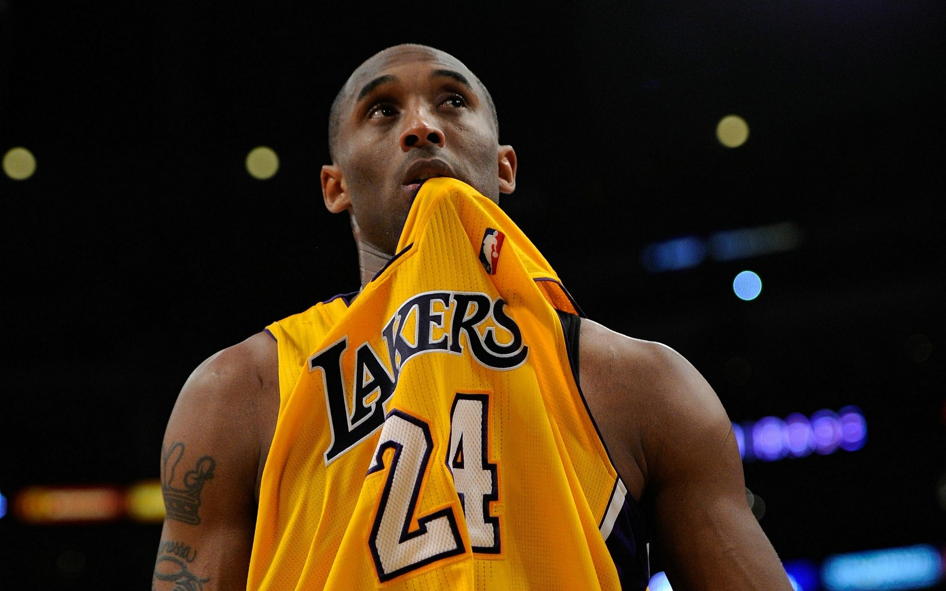 持高效率的 持高效率的